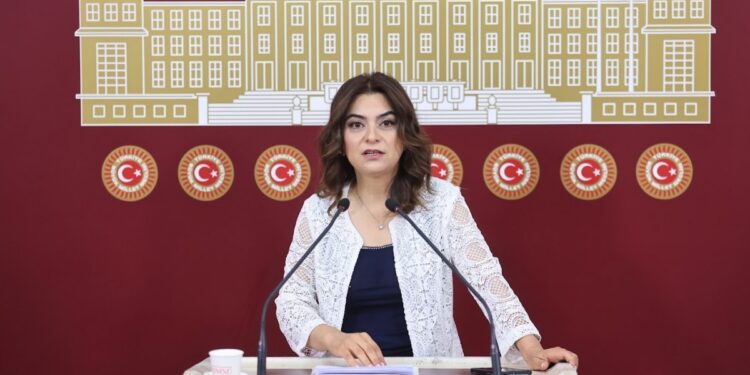 Gülistan Kılıç Koçyiğit: Komisyon yol haritasını tartışacak