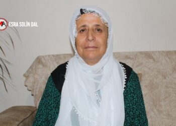 Komisyonda dinlenmişti: Kürtçe engeli barış arayışı felsefesine aykırıdır