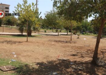 Xelfetî hizmetten yoksun: Süreç varsa kayyımlar olmamalı