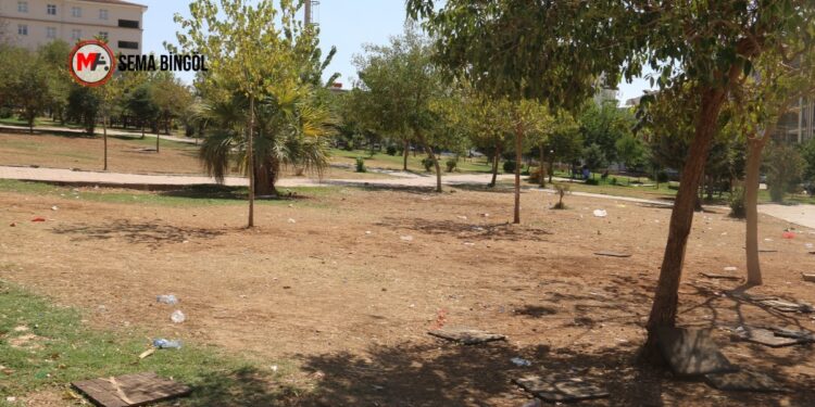 Xelfetî hizmetten yoksun: Süreç varsa kayyımlar olmamalı