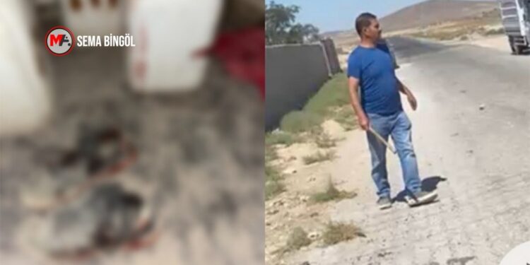 Kürt işçiye saldırıda MHP’li başkandan ‘kuru sıkı’ baskısı