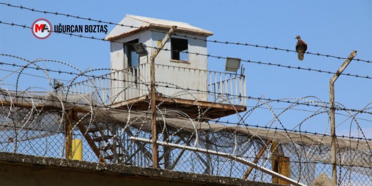 ‘Tecridin 7 penceresi’ 3 dile çevrildi