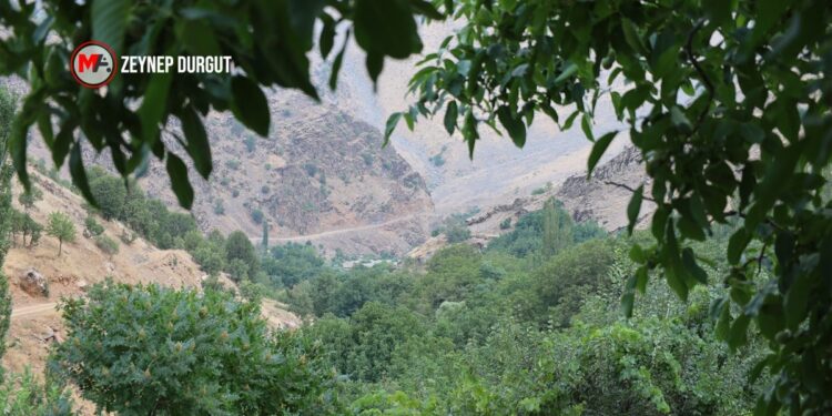 Unutulan köy: Ne yol var ne elektrik