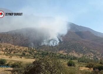 Zap, Metîna, Avaşîn’e saldırı: Provokasyon politikası terk edilmelidir