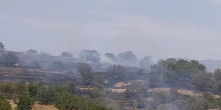 İzmir ve Uşak’ta yangın