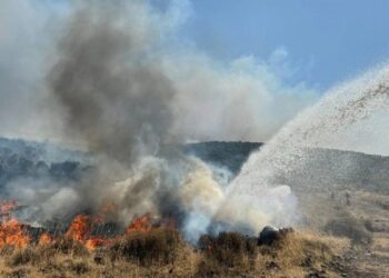 İzmir’de 2 bölgede yangın