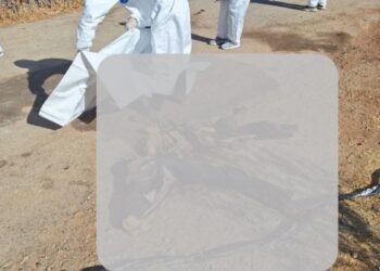 Siweyda’da 20 cenaze bulundu