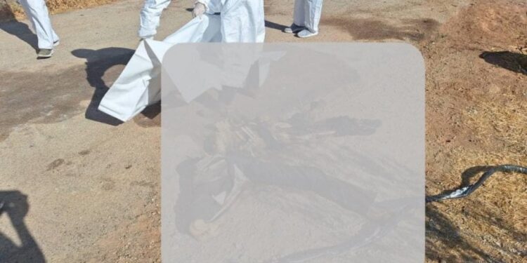 Siweyda’da 20 cenaze bulundu