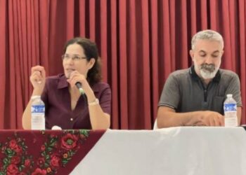 Îlham Ahmed: Entegrasyon ile tüm halkların birlikte yaşaması mümkün
