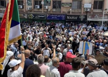 Süveyde’de eylem: Geçiş hükümeti güçleri kentti terk etsin