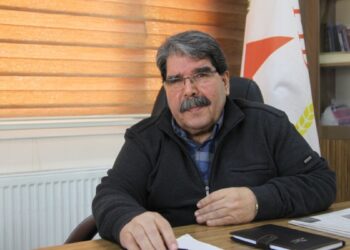 Salih Müslim: Rojava, Ortadoğu için bir barış projesi olabilir