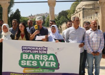 Riha’da ‘Demokratik toplum için barışa ses ver’ çağrısı