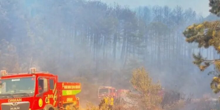 Uşak’ta orman yangını büyüyor