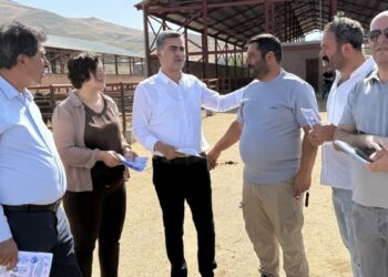 Wan’da ilçe ilçe miting çalışması