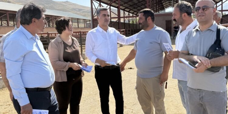 Wan’da ilçe ilçe miting çalışması