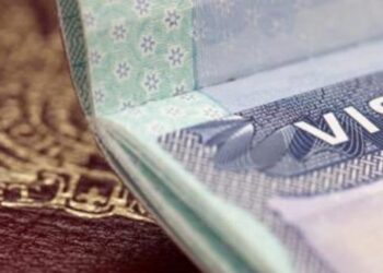 ABD, kamyon şoförlerine çalışma vizesi vermeyi durdurdu