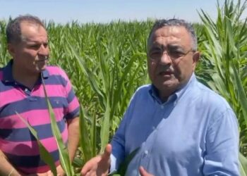AKP iktidarları döneminde çiftçiler fakirleşmiştir!