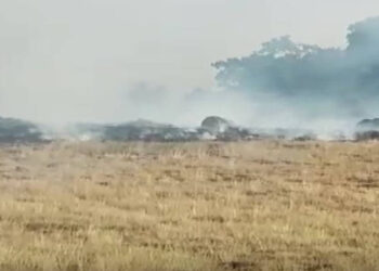 Aksaray'da Anız Yangını Büyüdü, Ormana Sıçradı!