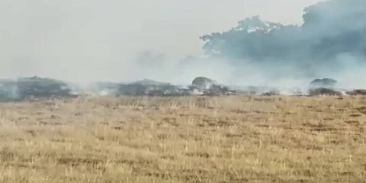 Aksaray'da Anız Yangını Büyüdü, Ormana Sıçradı!