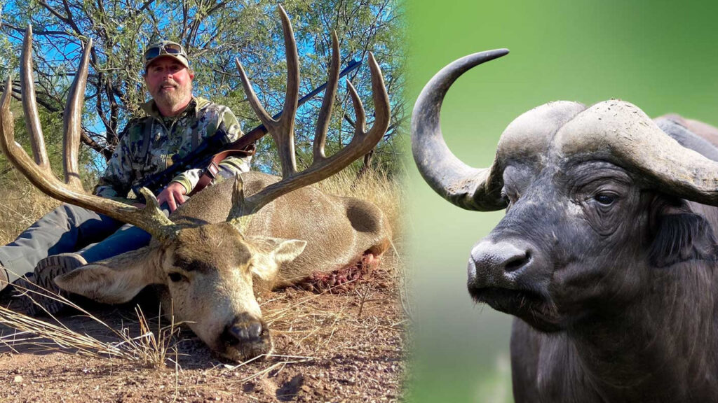 Ava Giderken 'Avlandı'... Ünlü Milyoner, Katletmek İstediği Buffalo Tarafından Öldürüldü