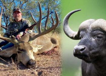 Ava Giderken 'Avlandı'... Ünlü Milyoner, Katletmek İstediği Buffalo Tarafından Öldürüldü