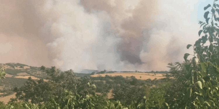 Balıkesir'de Ağaçlık Arazide Yangın! Havadan ve Karadan Müdahale Sürüyor