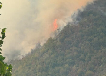 Bartın'da Orman Yangını Kontrol Altına Alındı