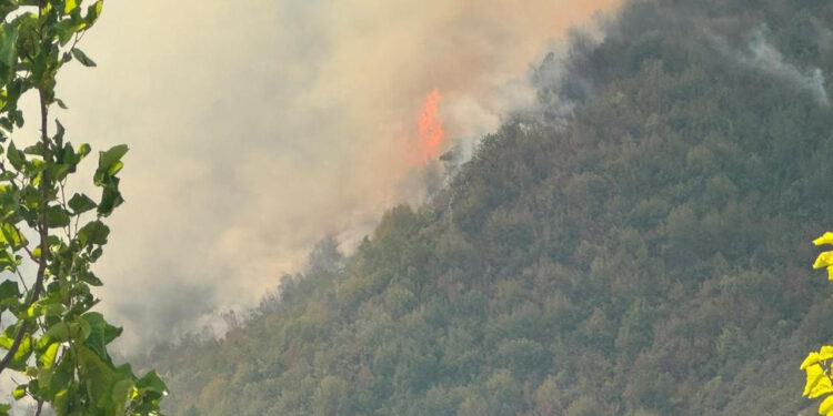 Bartın'da Orman Yangını Kontrol Altına Alındı