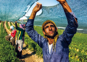 Bedelsiz arazi, düşük faizli kredi ve ev desteği