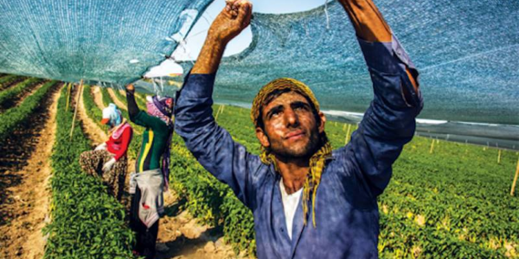 Bedelsiz arazi, düşük faizli kredi ve ev desteği