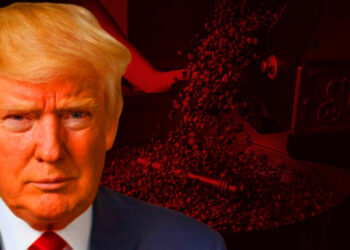 Beyaz Saray’dan ‘Kahverengi Altına' Darbe! Piyasada ‘Trump’ Etkisi