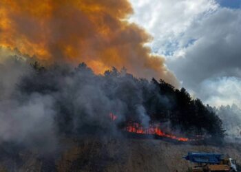Bolu Mengen'de çıkan orman yangını kontrol altına alındı