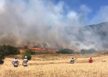 Bursa’da orman yangını: Benzin istasyonunu tehdit ediyor