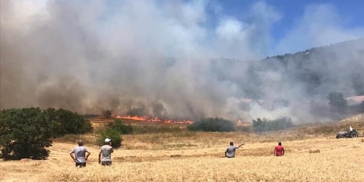 Bursa’da orman yangını: Benzin istasyonunu tehdit ediyor