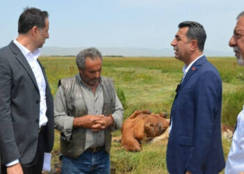 CHP'li Adem: İki İl Afet Bölgesi İlan Edilmeli