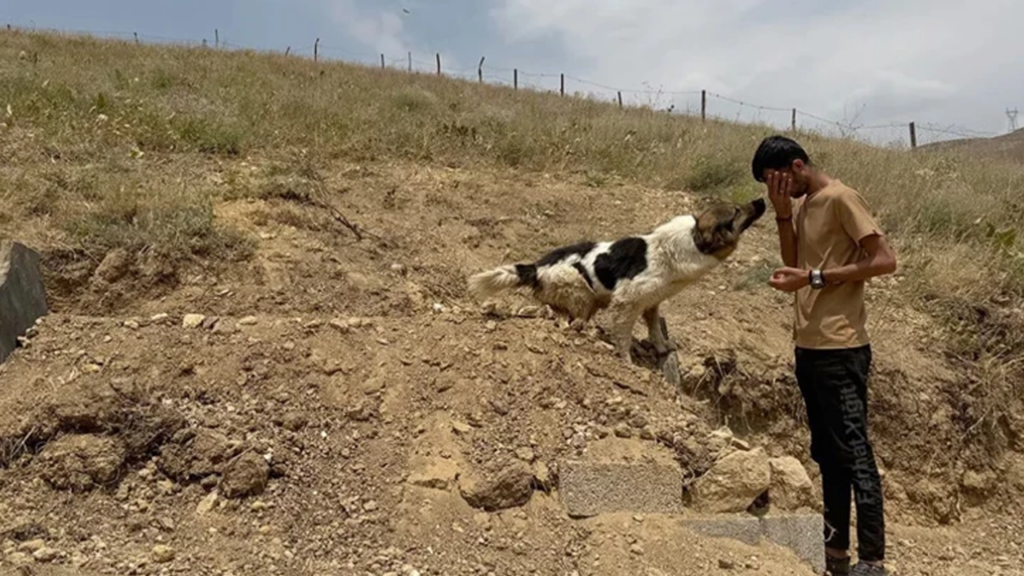 Ceylan Ertem’i Ağlatan Kavuşma! Vefalı Dost Yeni Yuvasında, O Güldü, Türkiye Güldü