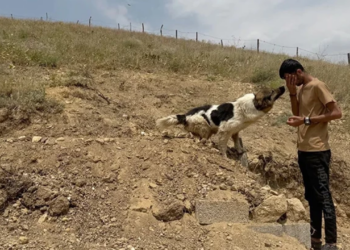 Ceylan Ertem’i Ağlatan Kavuşma! Vefalı Dost Yeni Yuvasında, O Güldü, Türkiye Güldü