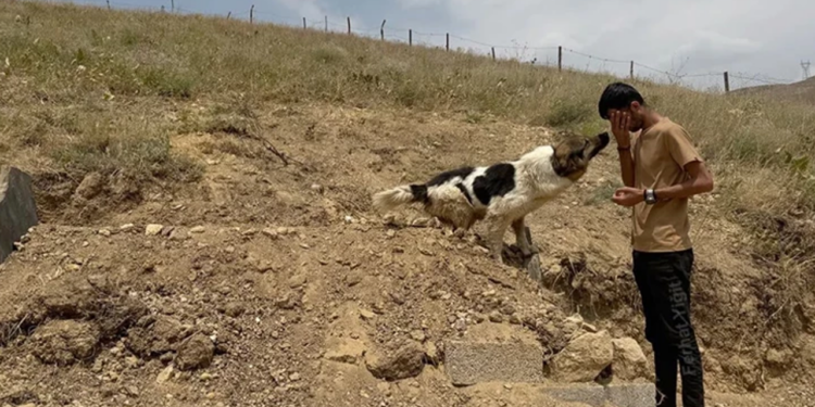 Ceylan Ertem’i Ağlatan Kavuşma! Vefalı Dost Yeni Yuvasında, O Güldü, Türkiye Güldü