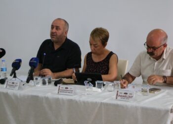 Çiçek: Öcalan'ın serbest çalışır koşullarının sağlanması öncelikli ödev olmalı