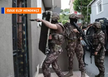 Özge Elif Hendekçi