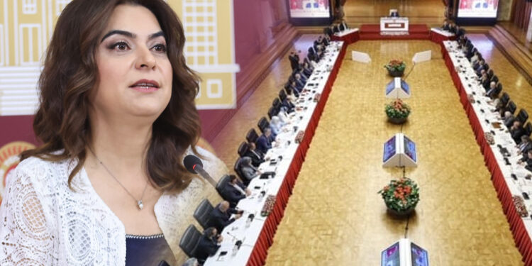 DEM Parti'nin Komisyondan Talebi Belli Oldu