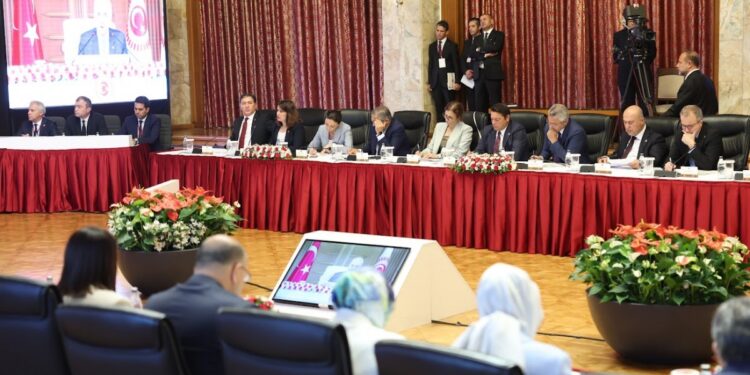 DEM Parti'nin komisyon üyelerinden açıklama