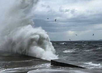 Dışarı çıkmama uyarısı yapıldı, Gülhane Parkı kapatıldı, 2 kişinin üzerine ağaç düştü!