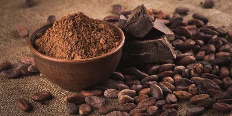 Gana ve Japonya, kakao işleme ve altyapı işbirliğinde mutabakata vardı