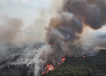Gaziantep'te Geri Dönüşüm Fabrikasında Korkutan Yangın: Alevler Halı Fabrikasına da Sıçradı