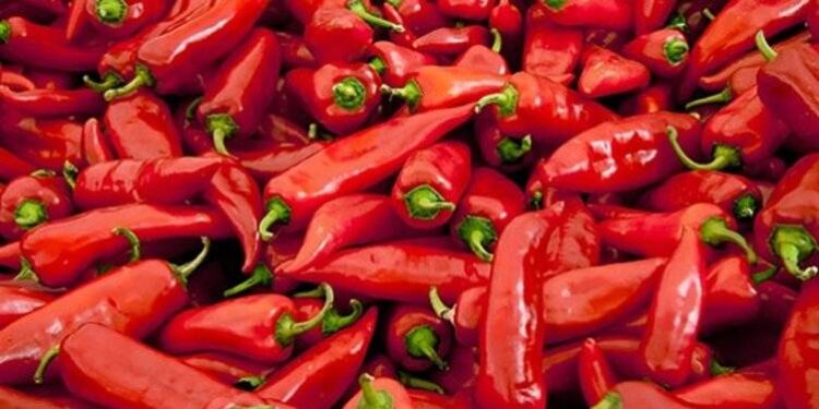 Gümrük kapısında 'kırmızı biber tohumu' kaçakçılığı