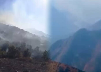 Hakkari’de Orman Yangını! İki Gündür Alev Alev Yanıyor