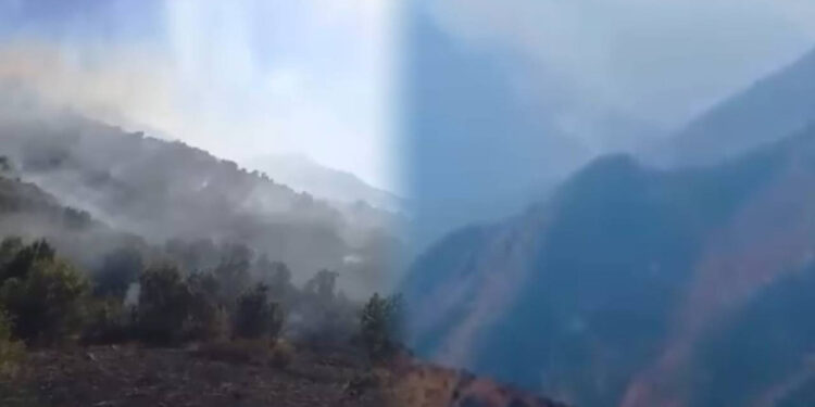 Hakkari’de Orman Yangını! İki Gündür Alev Alev Yanıyor
