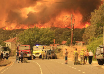 İspanya Yanıyor! En Az 7 Ölü, Binlerce Hektar Kül Oldu