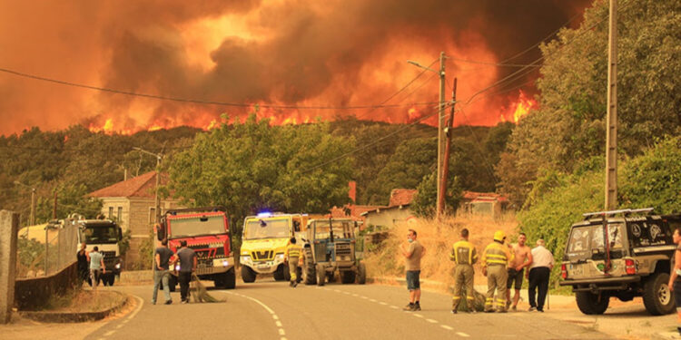 İspanya Yanıyor! En Az 7 Ölü, Binlerce Hektar Kül Oldu